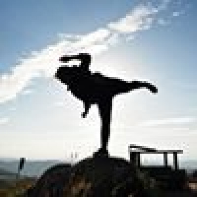 Lisa  is looking for a Room / Rental Property / Studio / Apartment in Leiden
