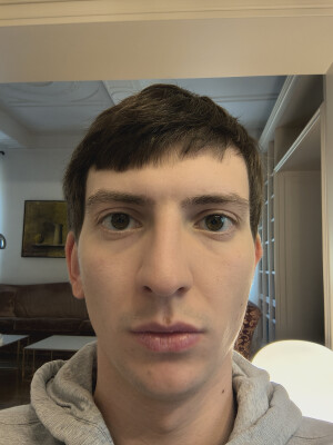 Guglielmo is looking for a Rental Property / Studio / Apartment in Leiden